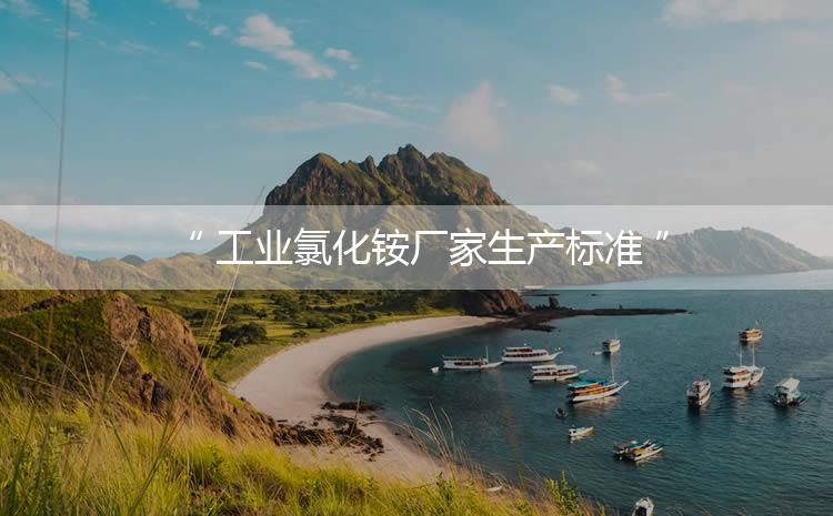 工業(yè)氯化銨廠家生產(chǎn)標(biāo)準(zhǔn)，生產(chǎn)過程進(jìn)行嚴(yán)密的監(jiān)控！